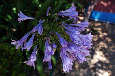 Attached Image: DSC_9768.jpg
