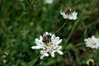 Attached Image: DSC_9829.jpg