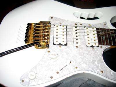 Attached Image: IMG_2665.JPG