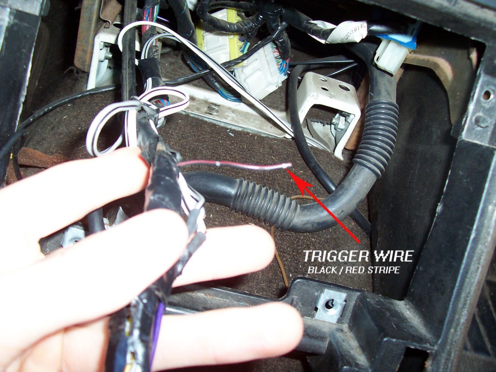 post-39140-12791798542462_thumb.jpg