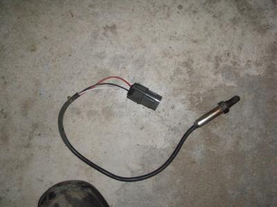 Attached Image: P9270100.JPG