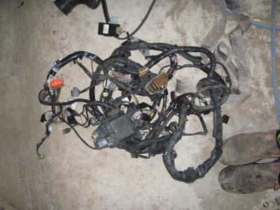 Attached Image: P9270106.JPG