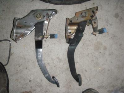 Attached Image: P9270111.JPG