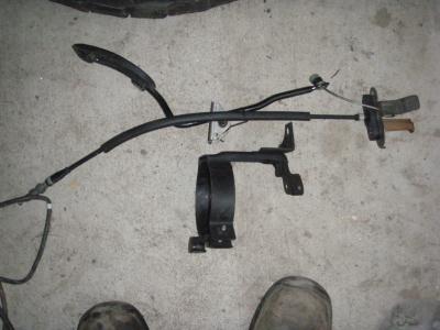 Attached Image: P9270113.JPG