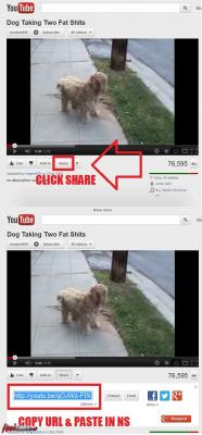 Attached Image: HowToEmbedYoutubeOnNS.jpg