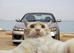 SamSam's Photo